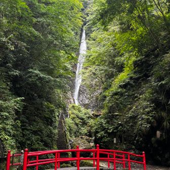 やっとカバー写真出来た😭よしよし👍