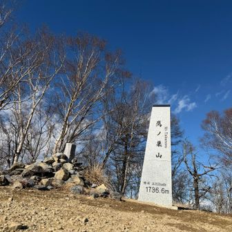 鷹ノ巣山山頂の石碑