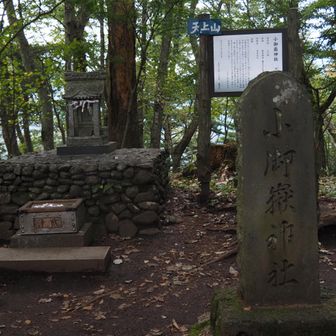 祠があります。あと挨拶を返してくれない日本人と、挨拶をかえしてくれる外人が数組いました。皆観光客みたいでしたが、なんでこの山に来てるのか不思議でした。