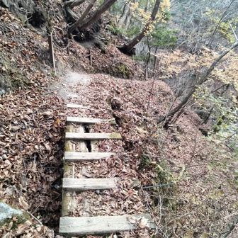 バインバインの橋だ😂