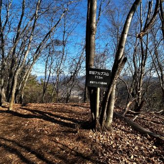 五座目の都留アルプス山
このあと結構下る