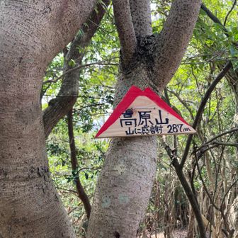 高原山山頂。ここは展望はない。山に感謝！山頂案内板に感謝(^^♪