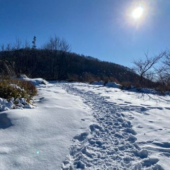 高天原まで降りて地蔵岳を振り返る。名残惜しいのかな