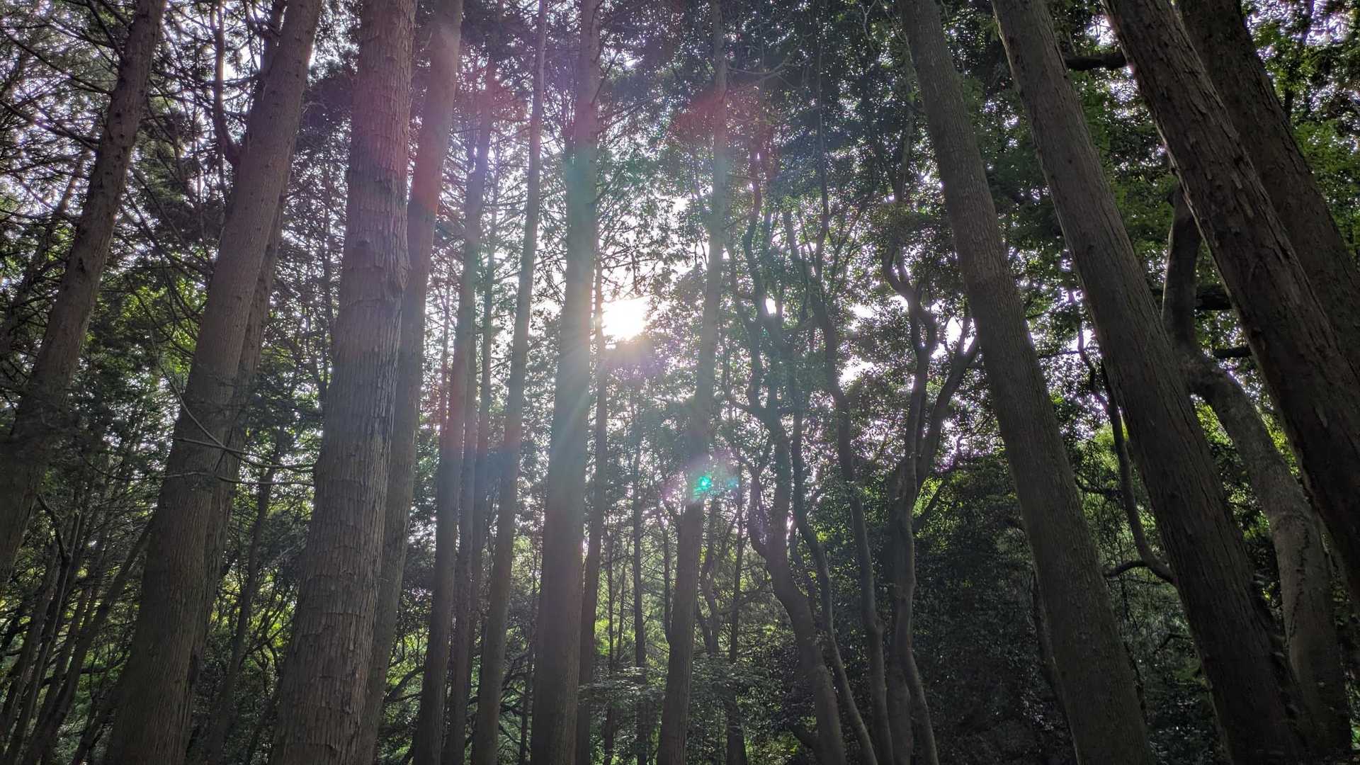 剣立山 往復コースの写真