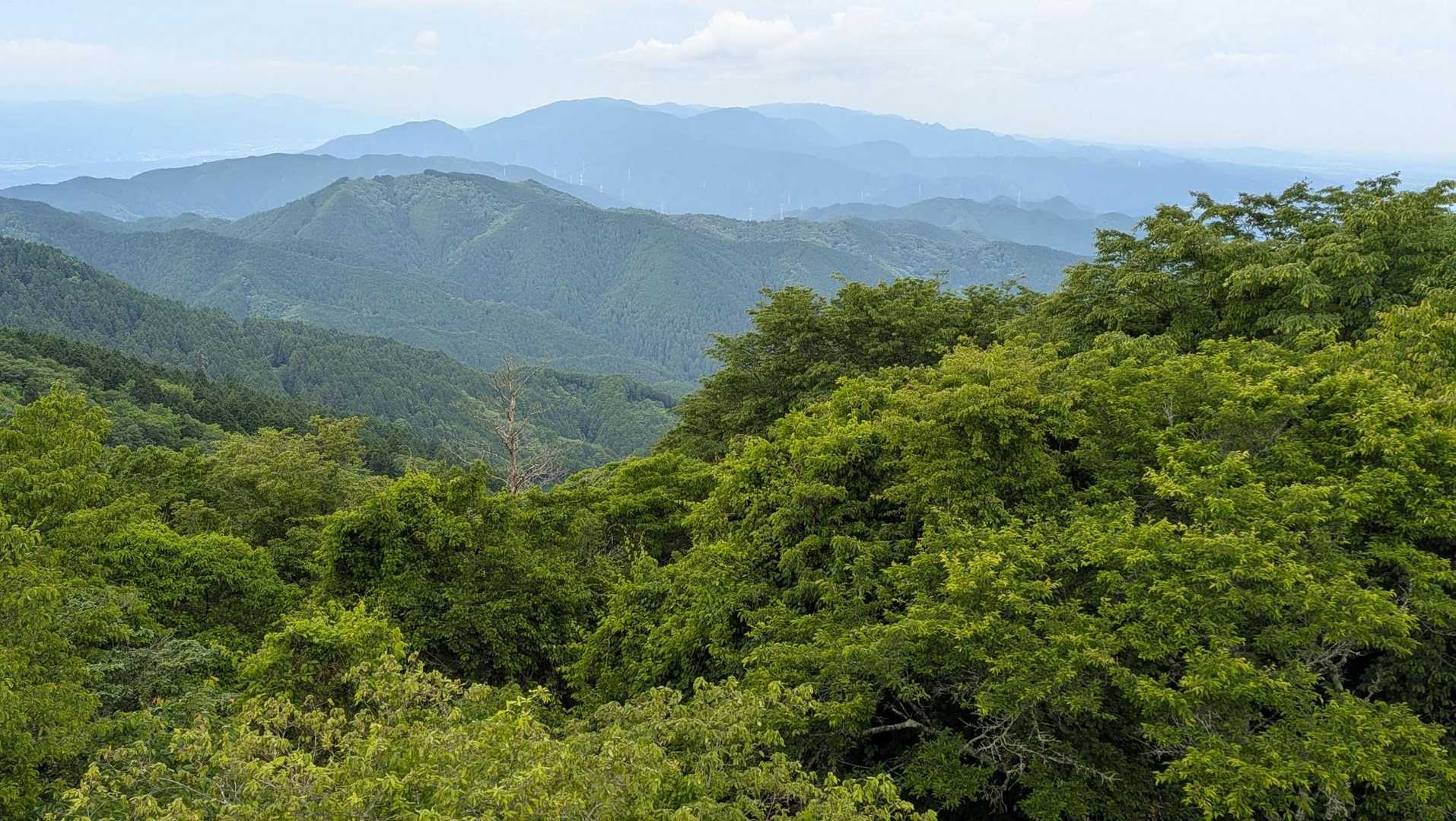 和歌山方面の岩湧山はバッチリ👌