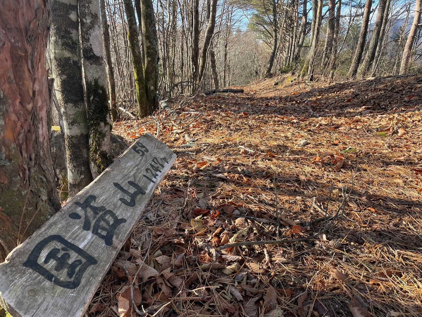 国盗山の写真