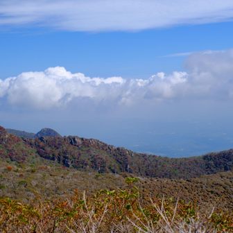 北大船側の火口周辺も少し。