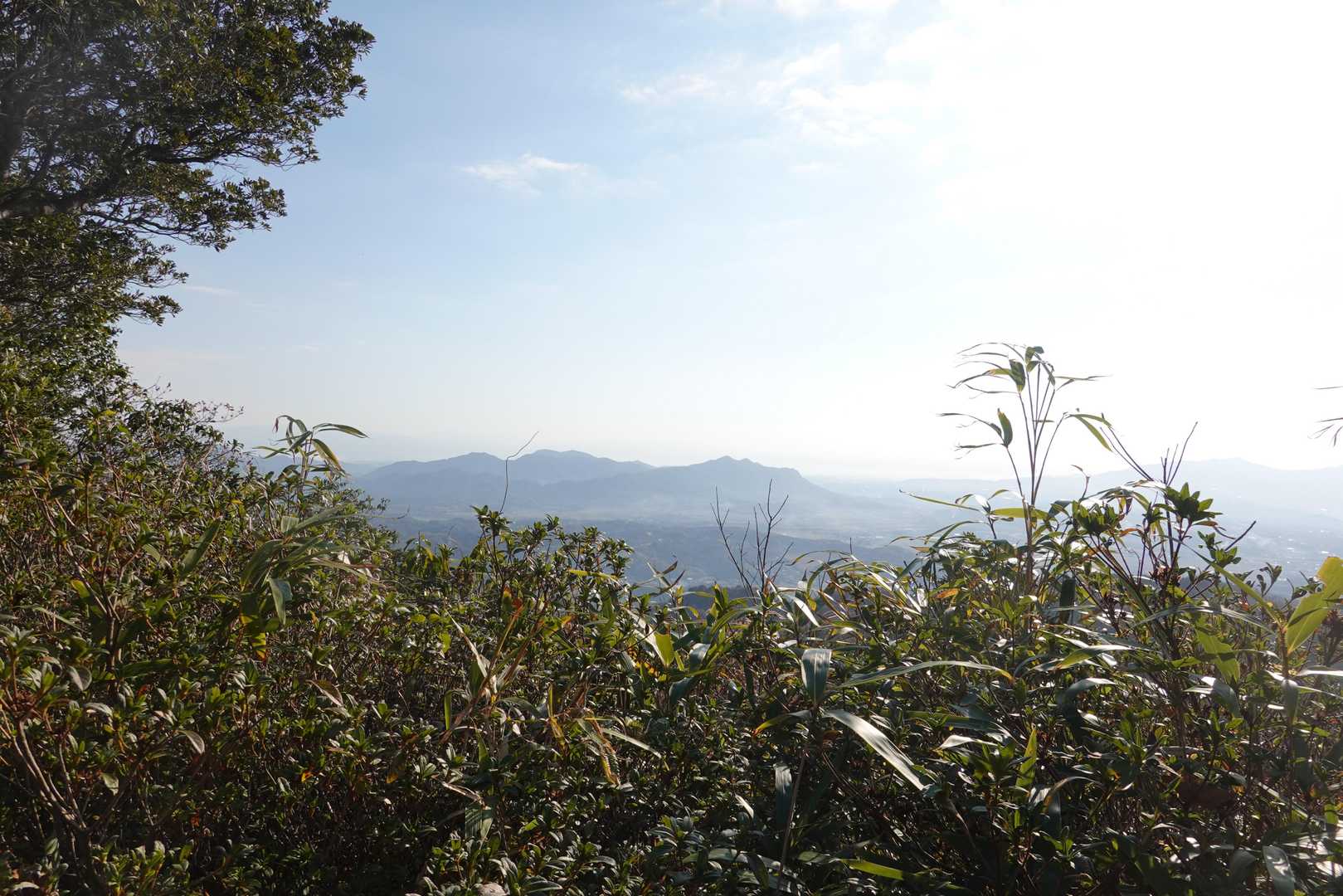木の葉山方面