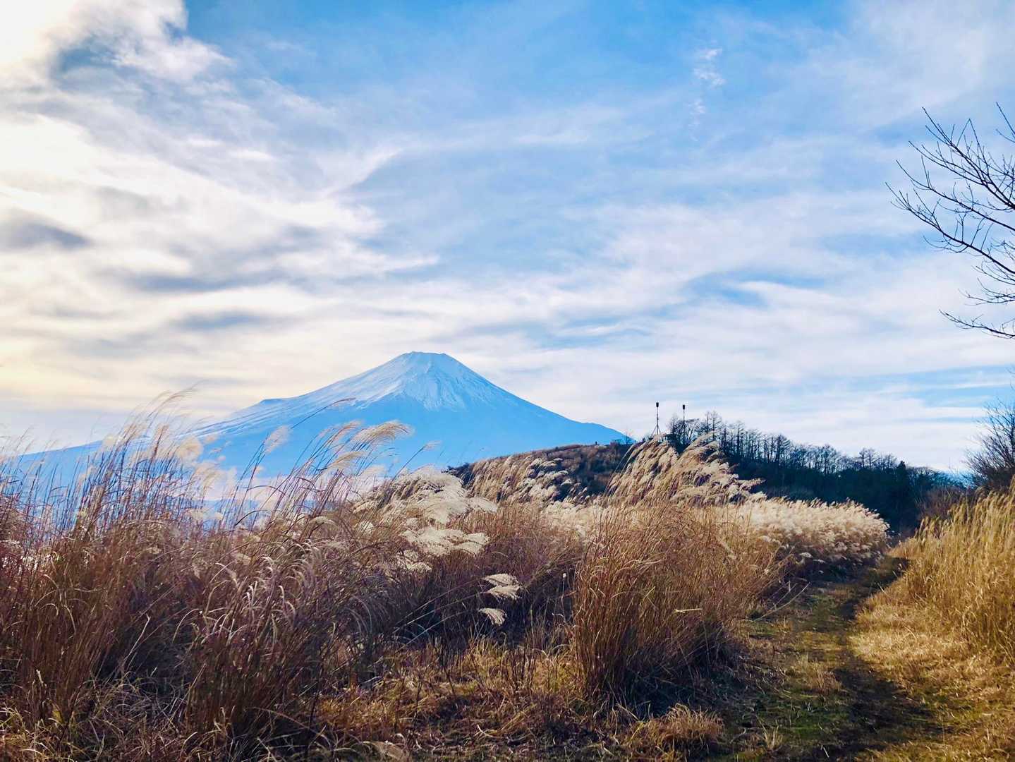 富士山🗻と空と雲とススキ🌾