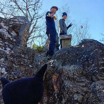 ザックを山飯会場にデポって頂上を目指します

途中の岩場でわるさんに見つめられるメンズ2人