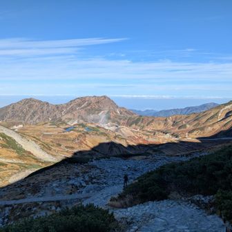 紅葉の一部になるためにもう一度降りる