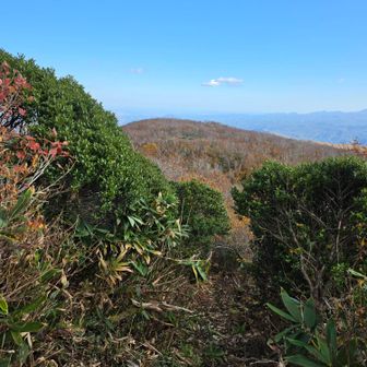 クルミ平経由で下山。