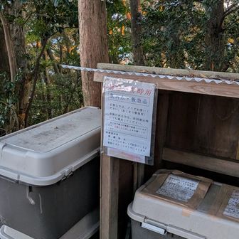 奥さんの知人ですが、これだけの物を担いで持ってくるとはすごいです。