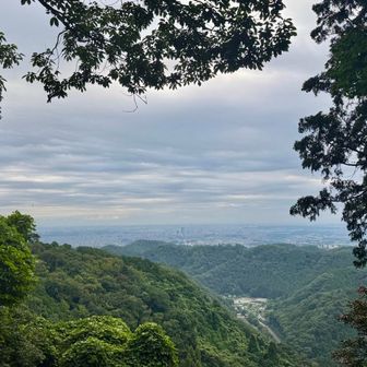 稲荷山から都心を眺める
