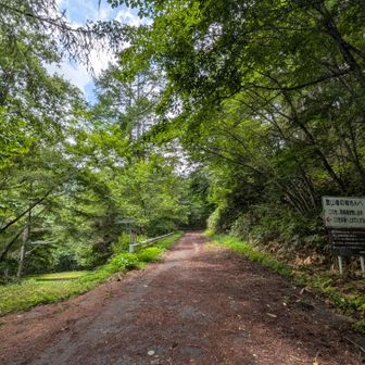 左側に登山者用🅿️。
ここ数年一般車が入れていないので、草ボーボー。