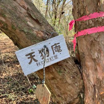 天狗庵 秋には紅葉とのこと。
各季節に来なきゃですね。
それぞれの標識に木札がついています。
作礼遍路？？