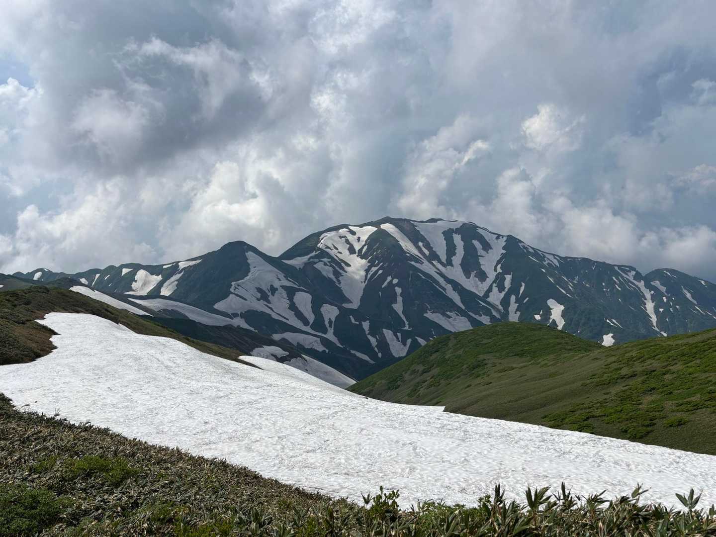 雪田を吹きわたる涼風
明日は連峰の北端に聳える朳差岳を目指そう🏔️