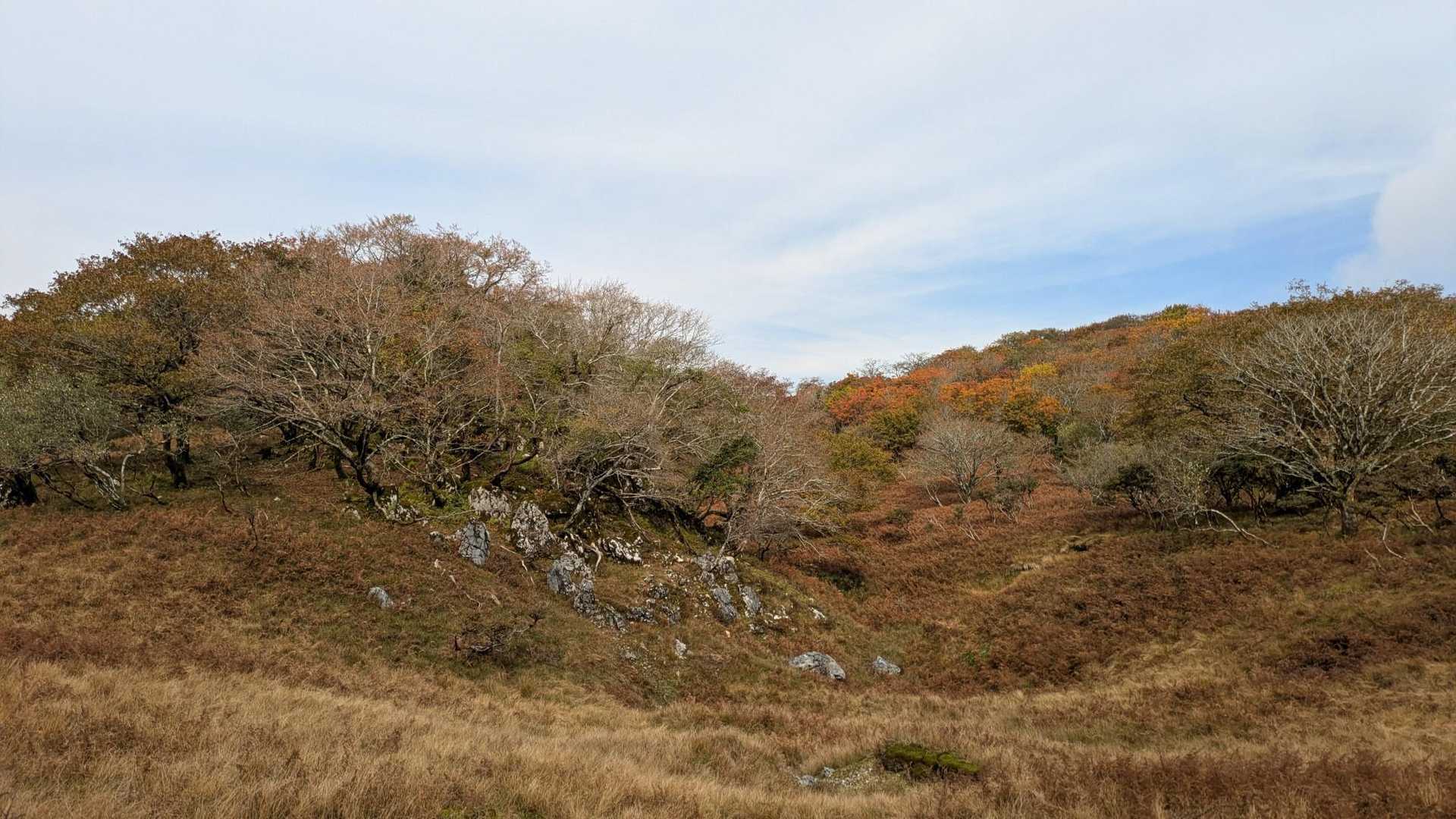 御池岳・鈴北岳周回 | シマリスに出会える鈴鹿最高峰のカルスト台地の写真
