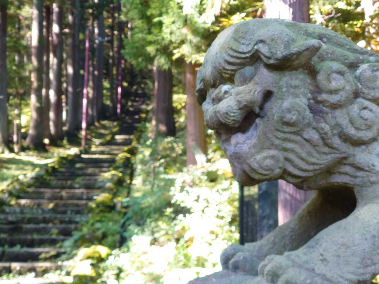 久渡寺山-岩落山 周回コースの写真