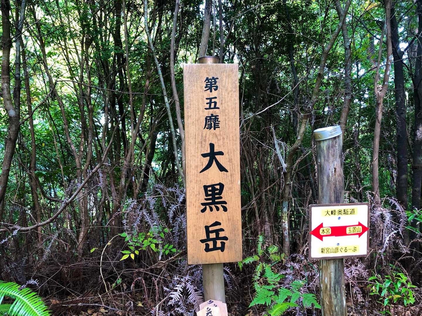 最初に《第五靡(なびき)》大黒岳通過⛰️