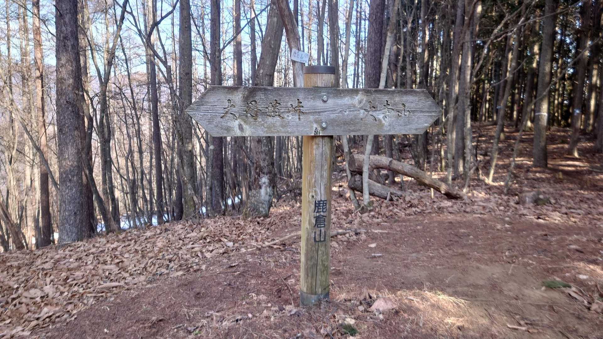 鹿倉山に到着しました。
