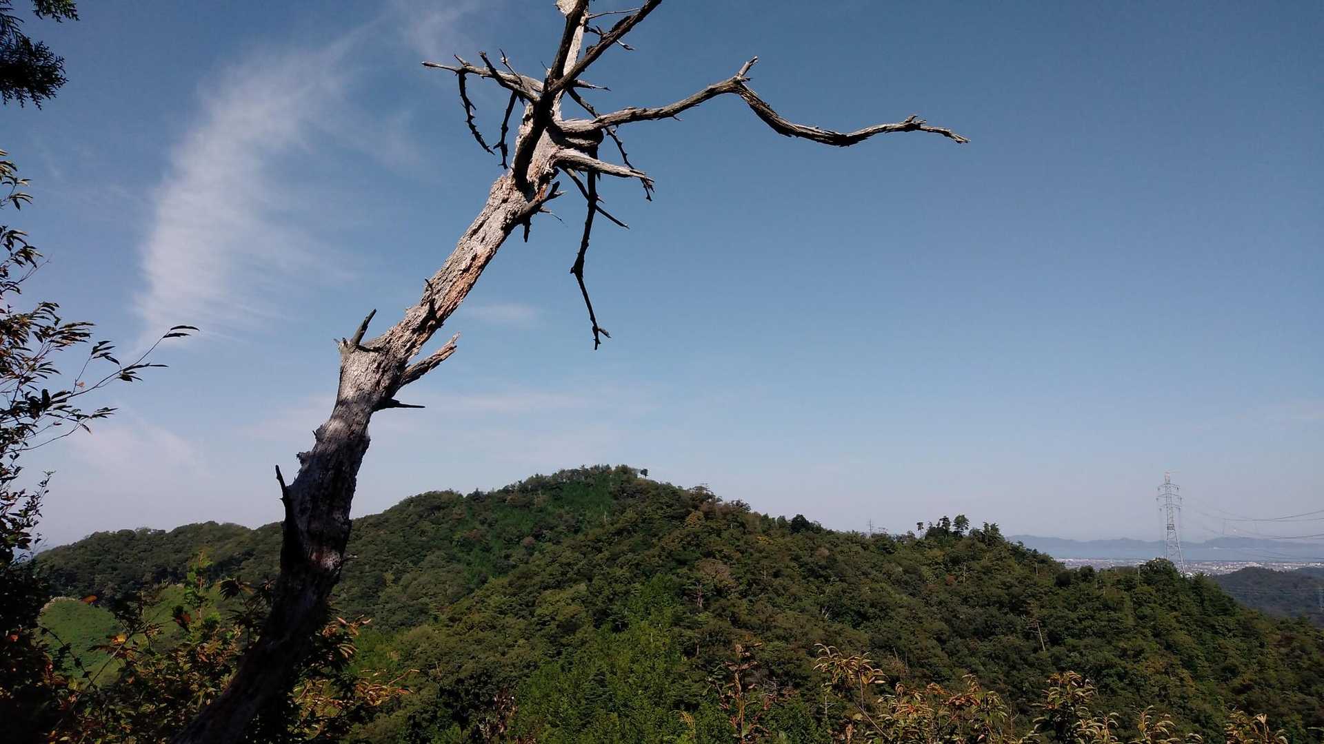 要害山（安田）