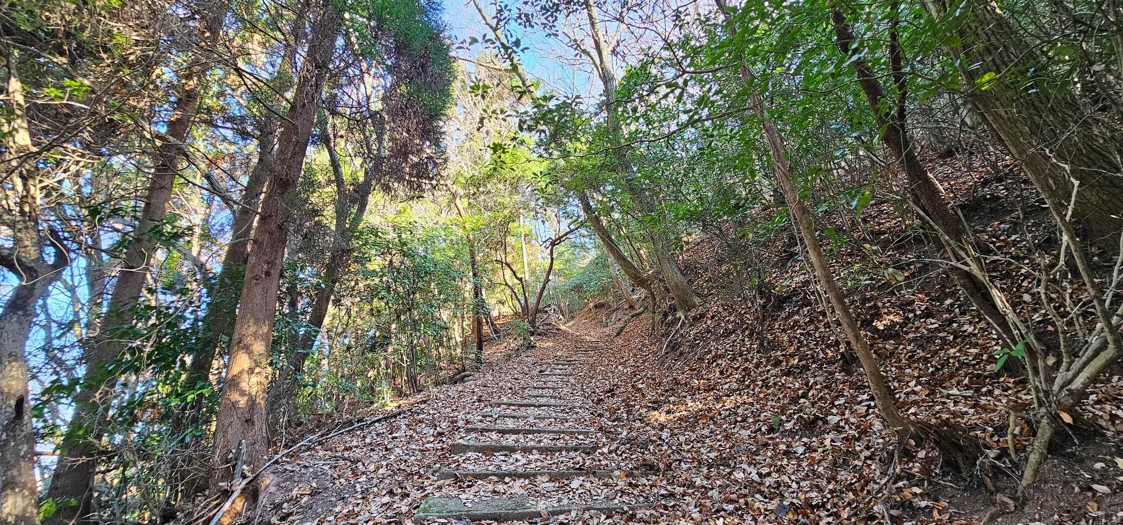 宇曽山-障子岳 往復コースの写真