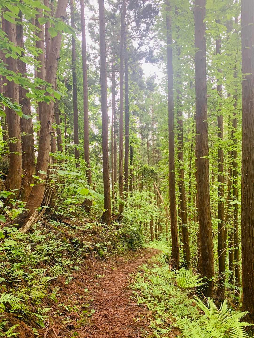 低山の良さ✨