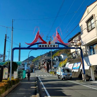 由比駅前の桜海老通り