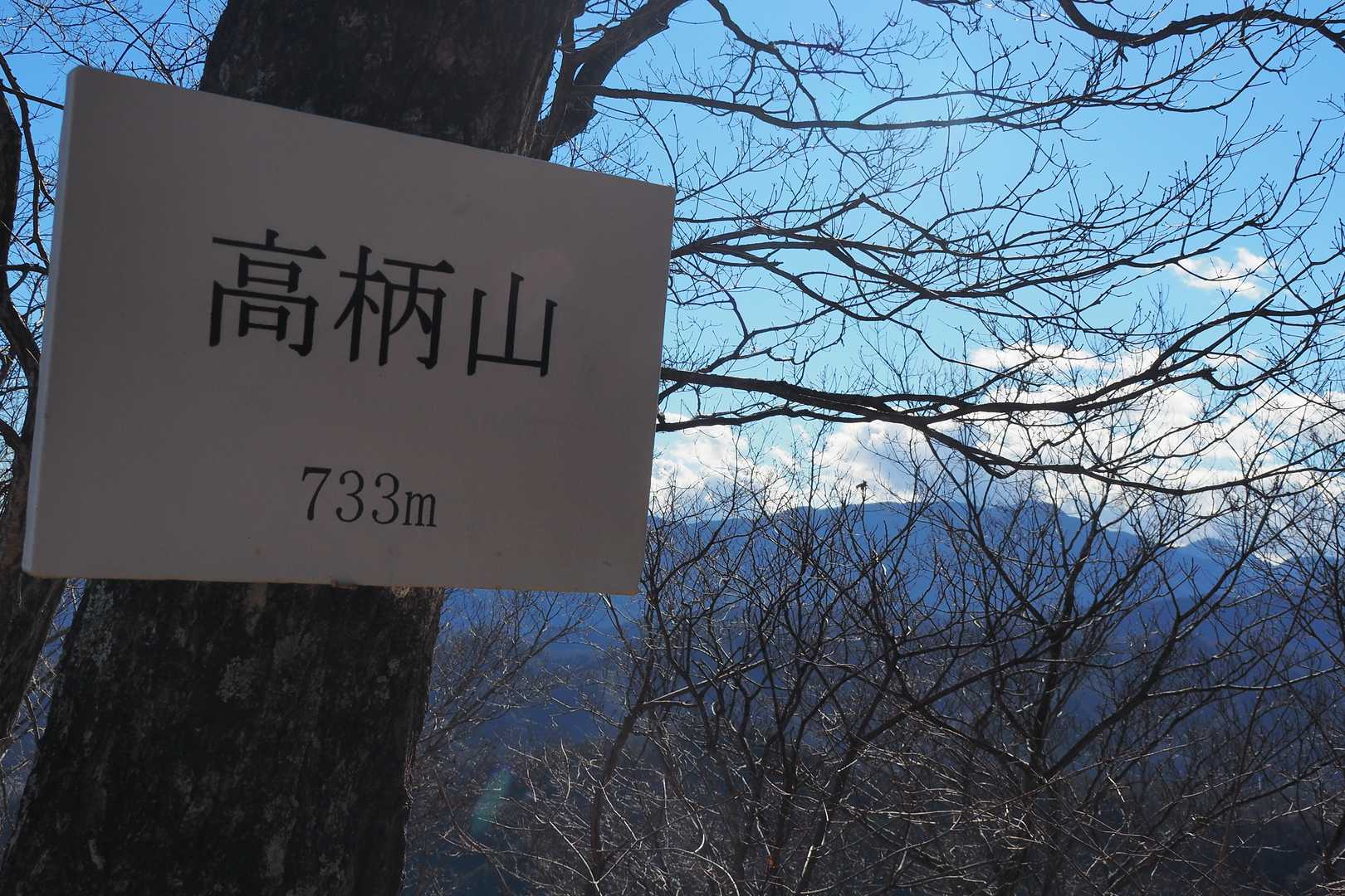 メインの高柄山733ｍに到着