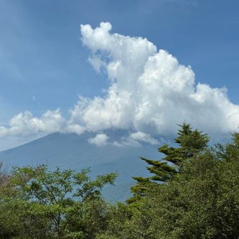 立山展望からの富士。残念ながら雲がかかっていた