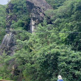 「ひき岩」
左向いたヒキガエル、目あるよね