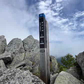 濁沢大峰
檜尾岳と島田娘に挟まれて地味な山のくせに、岩場もあるしキツくて嫌なやつ😂