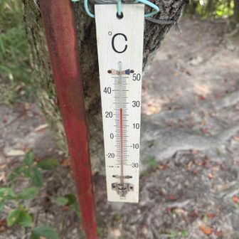 物見山は25.5℃ でも暑い