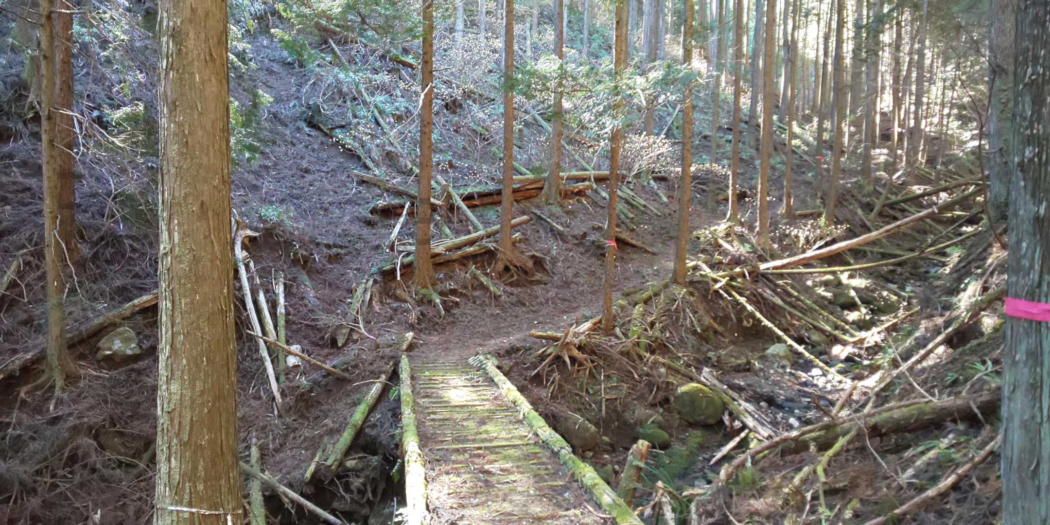 基本歩きやすいです(^^♪