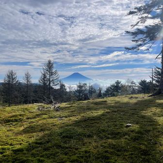 なんて存在感があるのでしょう。やはりアナタは日本一です🗻