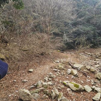 左俣が白石滝、白石谷。右俣が百間滝方面。