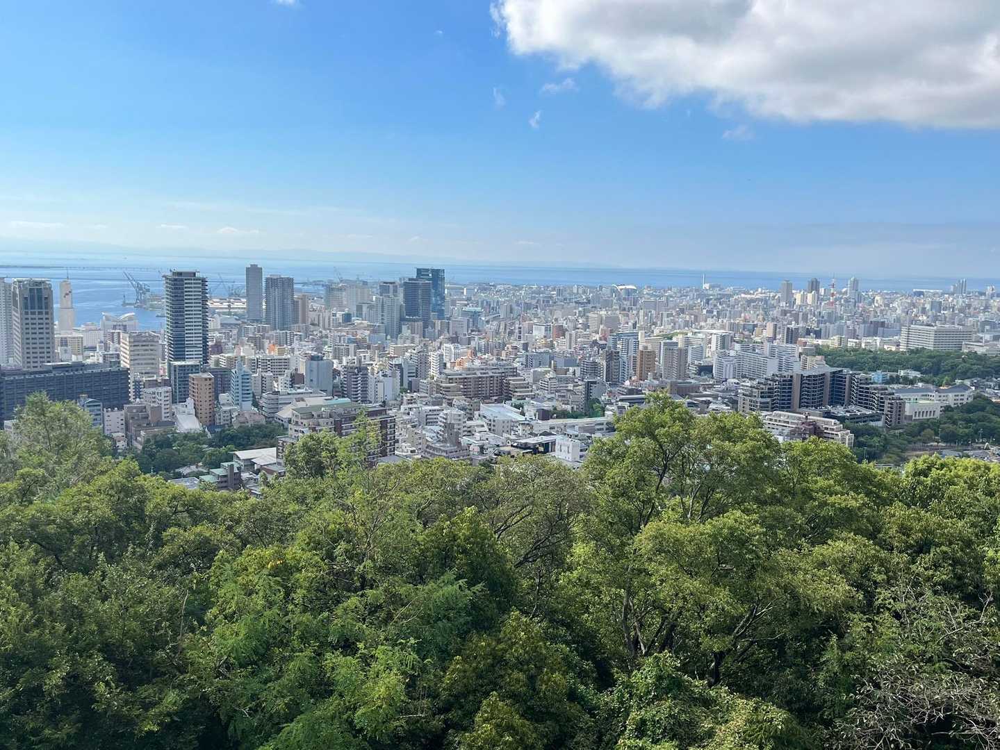 諏訪神社-市章山-城山-滝山城跡登山口-新神戸駅 縦走コースの写真