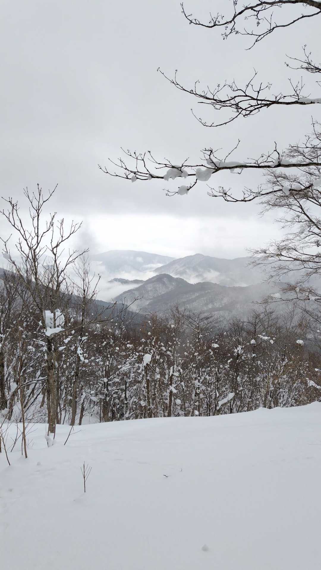 雪が止んで隣の山が見えました。