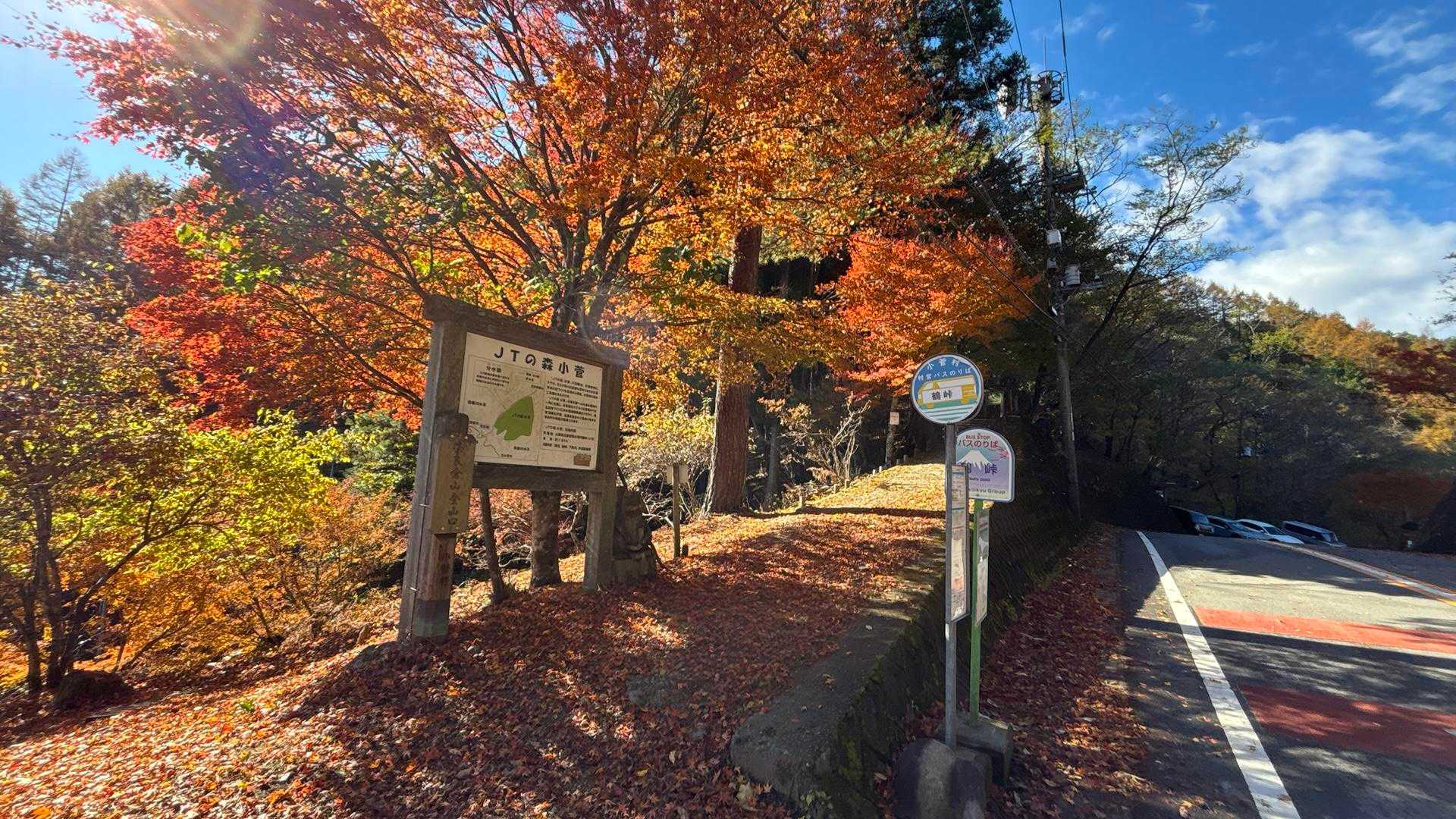 鶴峠-奈良倉山-牛ノ寝・大菩薩峠登山口-松姫峠-鶴寝山 往復コースの写真