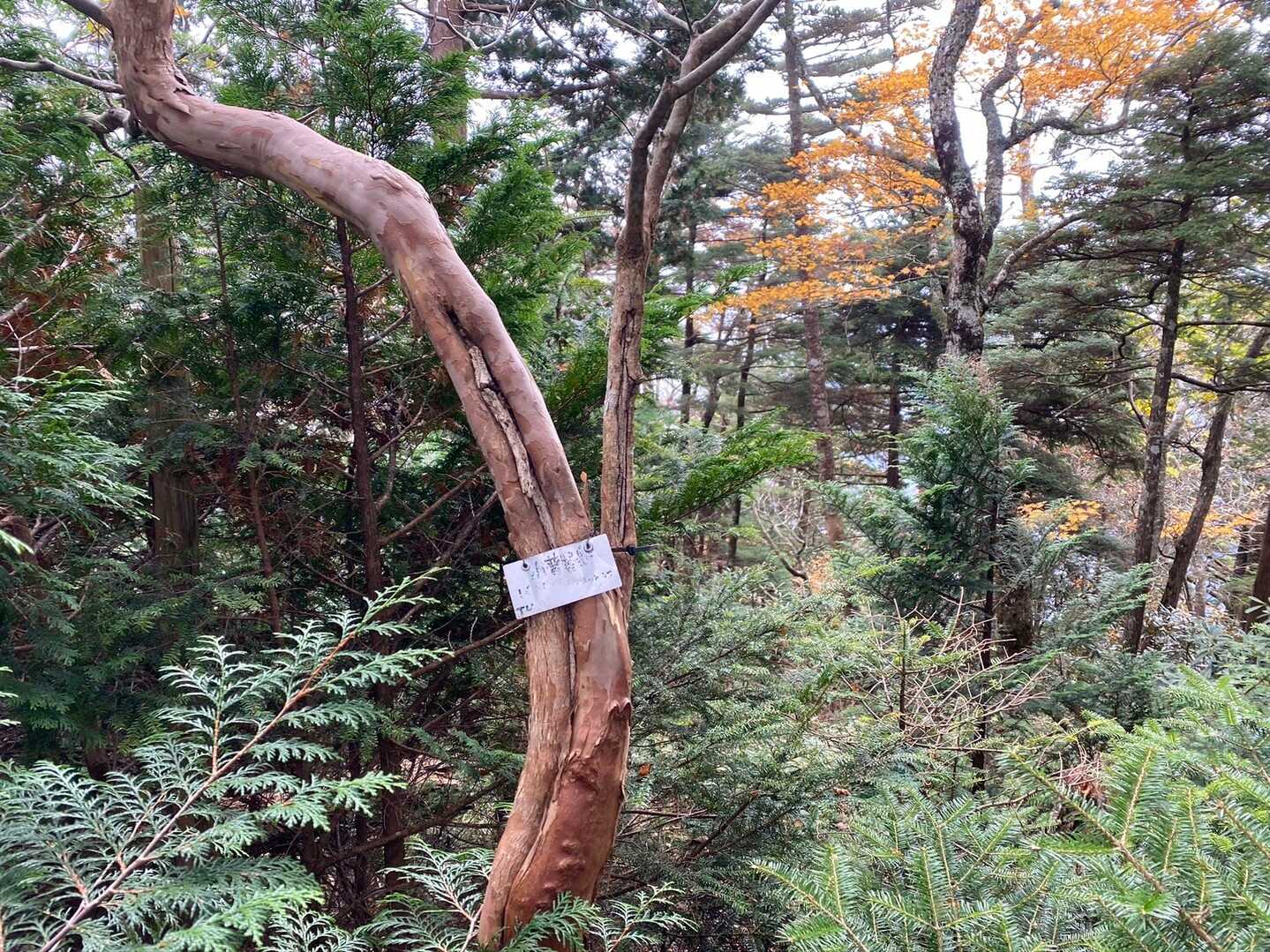 小普賢岳の写真
