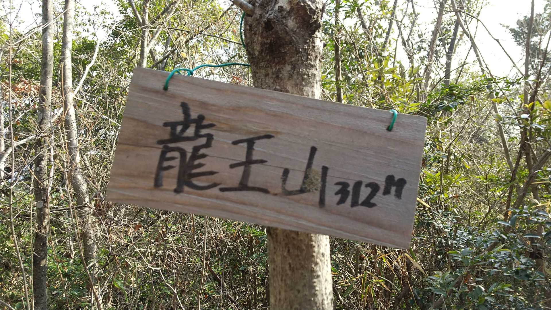ルートを間違えて、藪こぎして、やっと龍王山