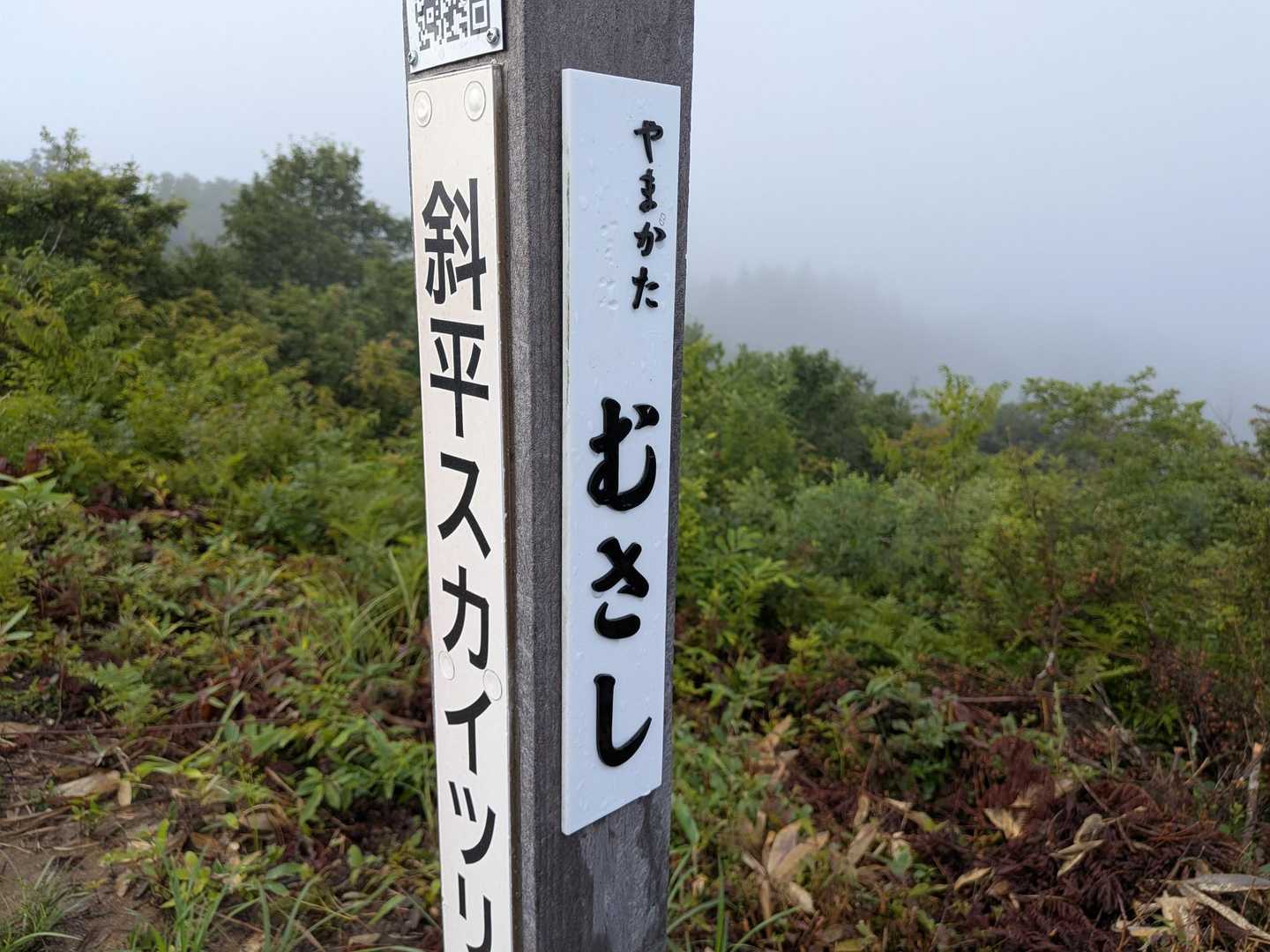 愛宕山-笹野山 往復コースの写真
