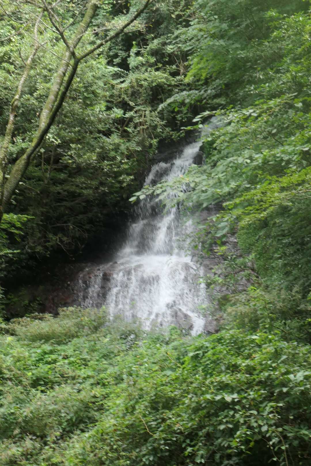 アンの滝も水量が多い