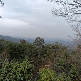 だんだん怪しい空…ちょっと休んで🅿️へ急ぎます