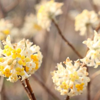 友達に、「もうすぐ駐車場着くよ◎今どこ？」と電話。

友達
「道を間違えて山頂きちゃった。ごめん、待ってて」

わたしのココロの声
（あれだけ至る所にわかりやすく標識あるのに、道を間違えて山頂って…そんなわけあるかいっ！）
※友達は登山ベテラン）