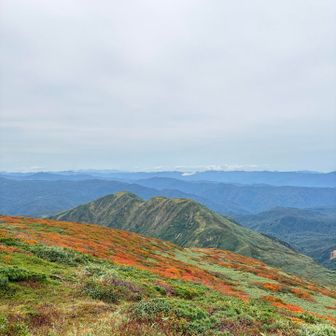 姥ヶ岳山頂より