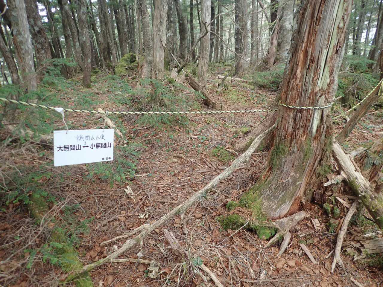中無間。このトラロープを左折。尾根の乗り換えなので、要注意。私も少し直進してしまいました。