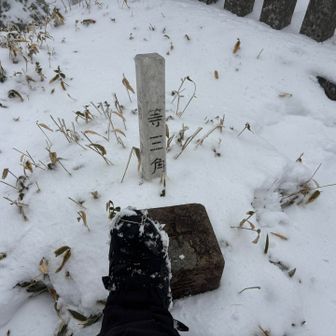 三角点も撮っておきますね。