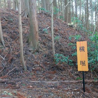 横堀がぐるっと周りに掘られてました。